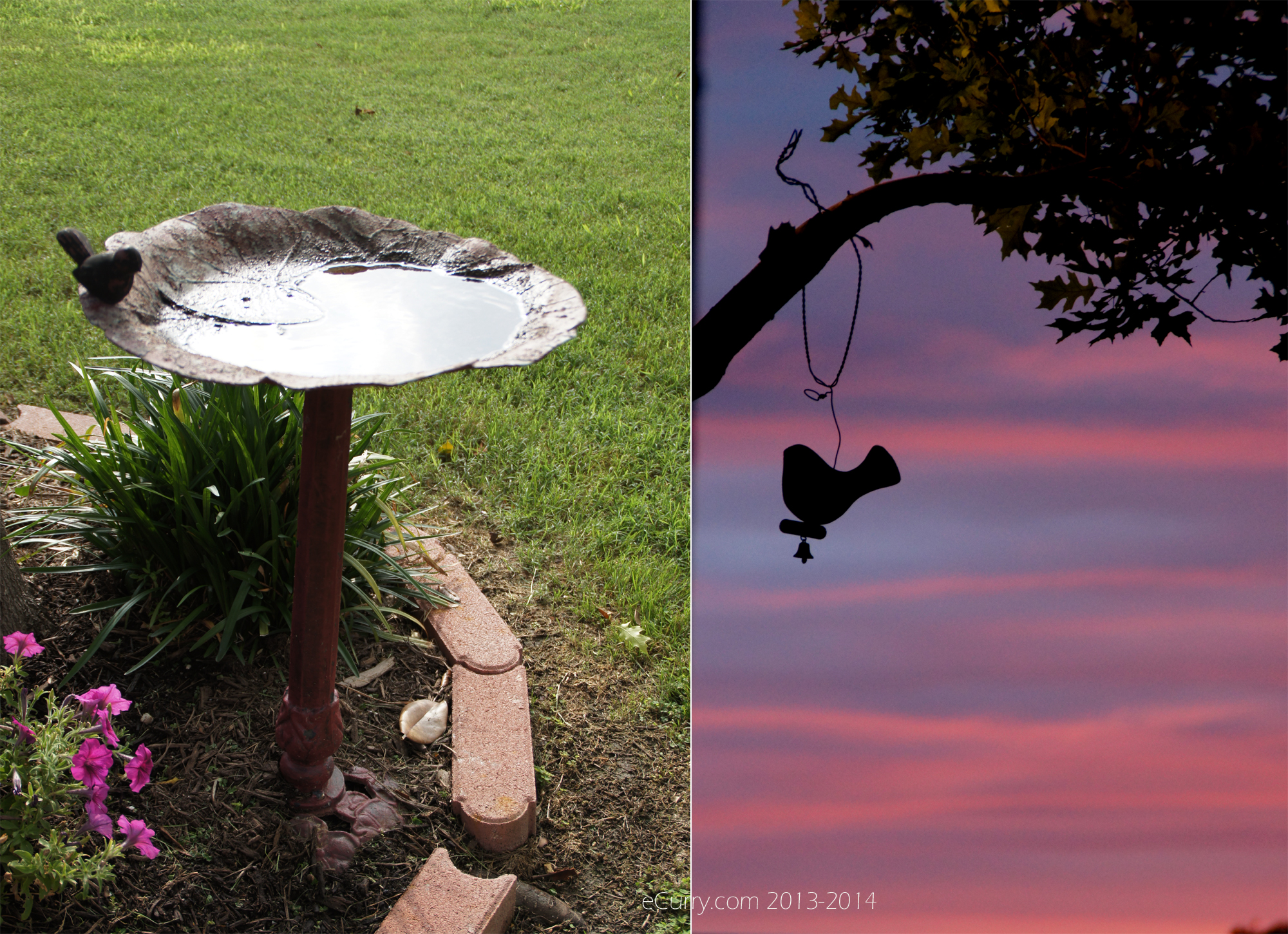 Bird_and Birdbath Diptych 1