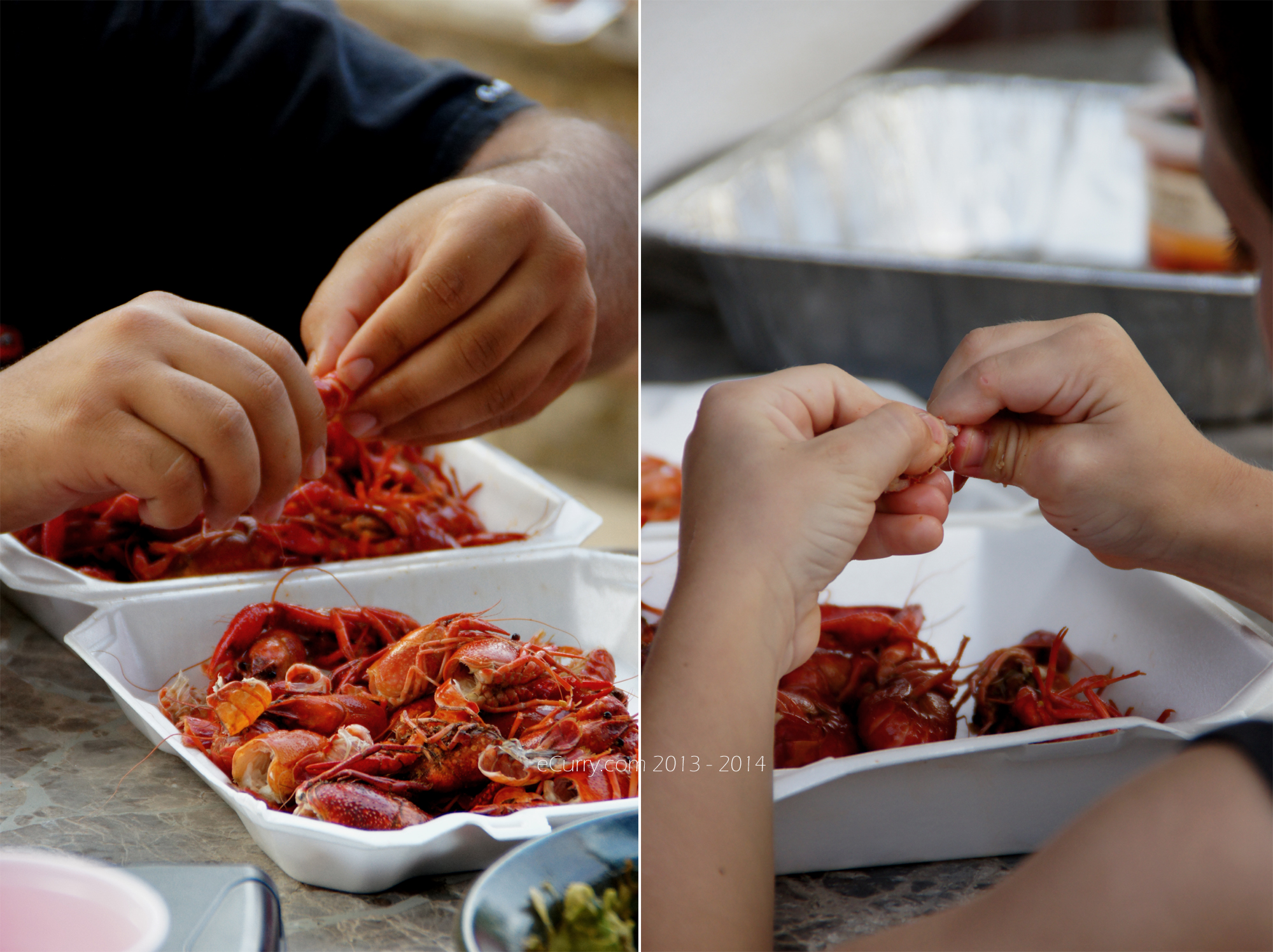 Crawfish Boil Diptych 4