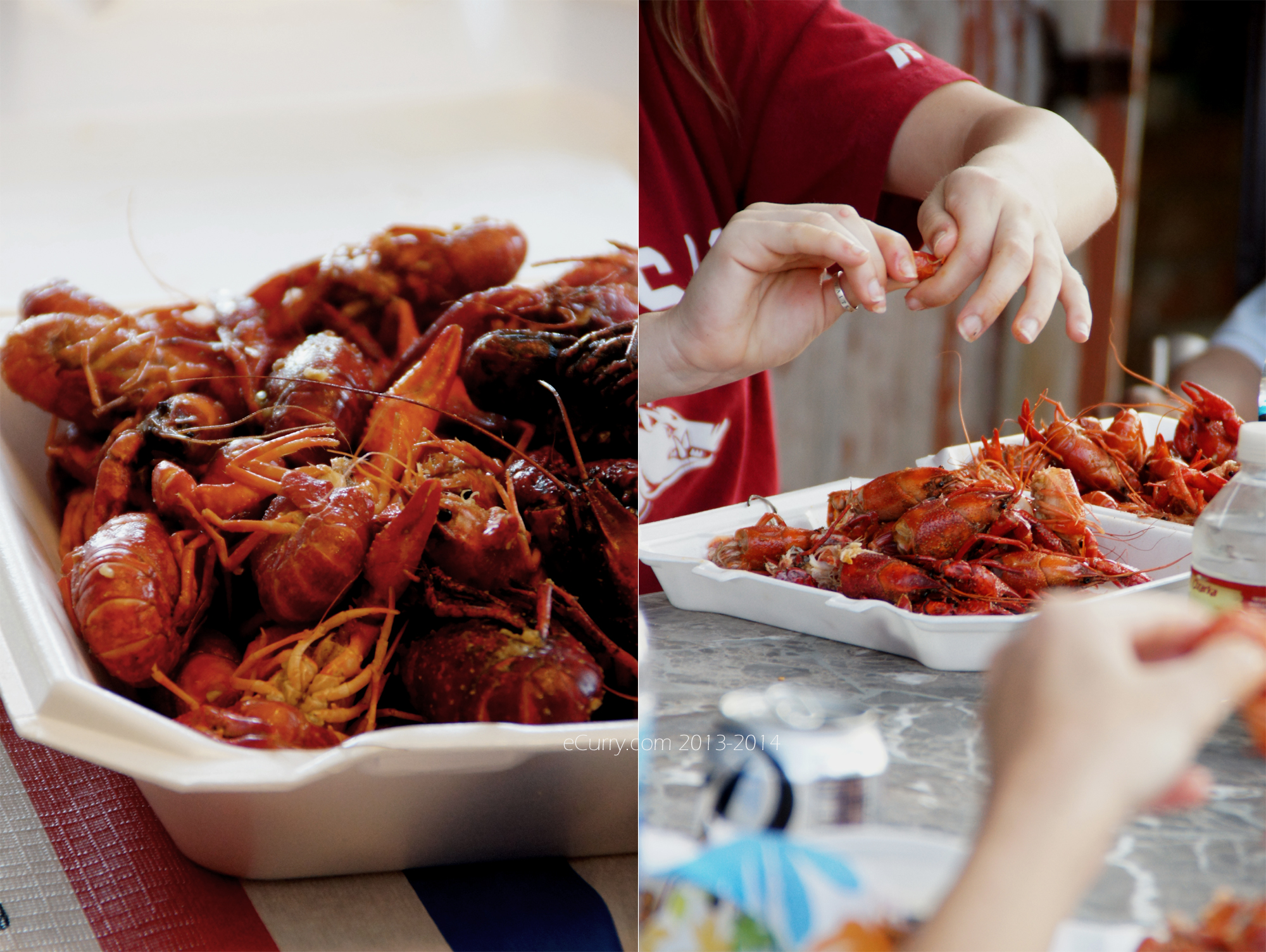 Crawfish Boil Diptych 5