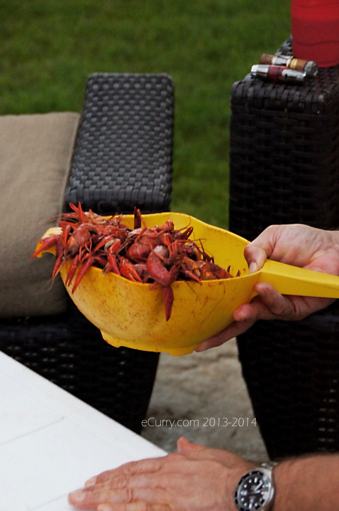 crawfish-boil-14.jpg