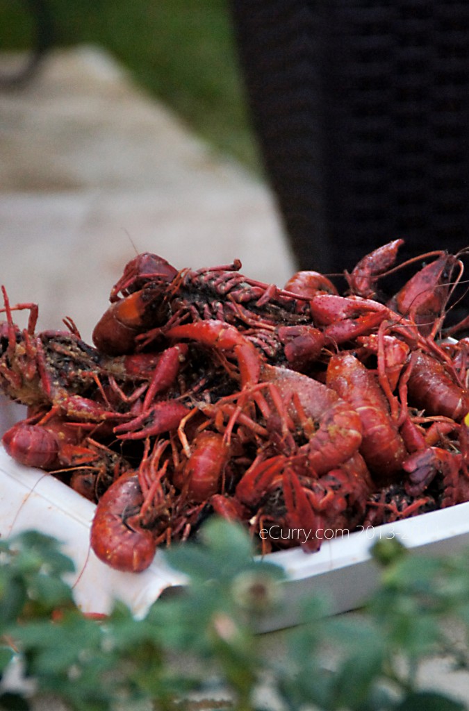 crawfish-boil-15.jpg