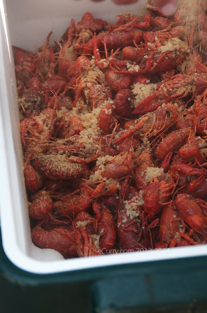 crawfish-boil-20.jpg