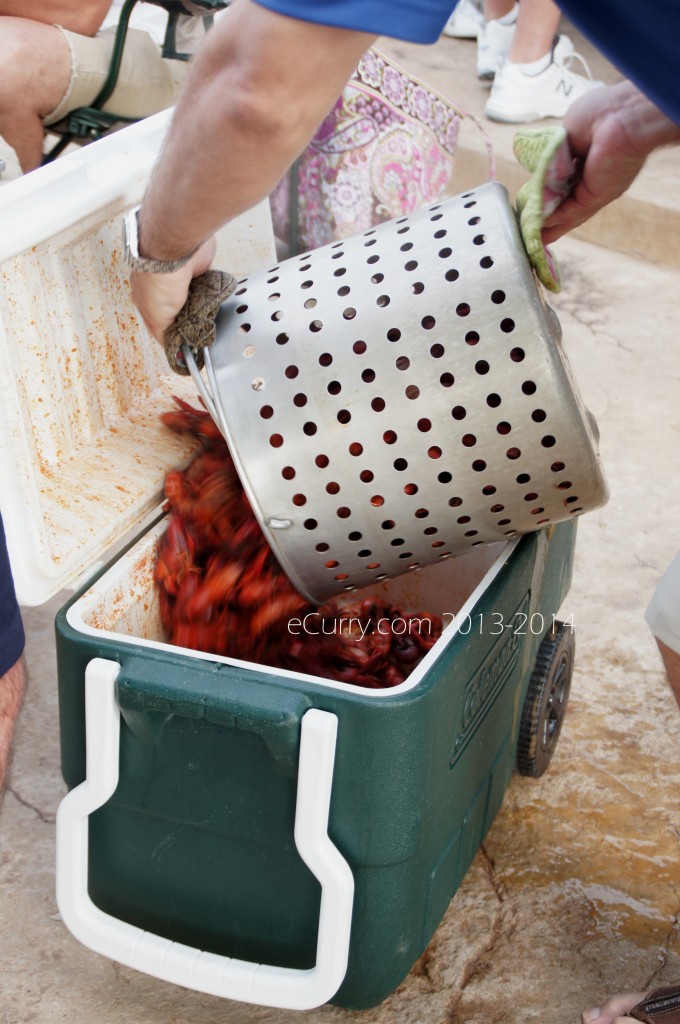 crawfish-boil-3.jpg