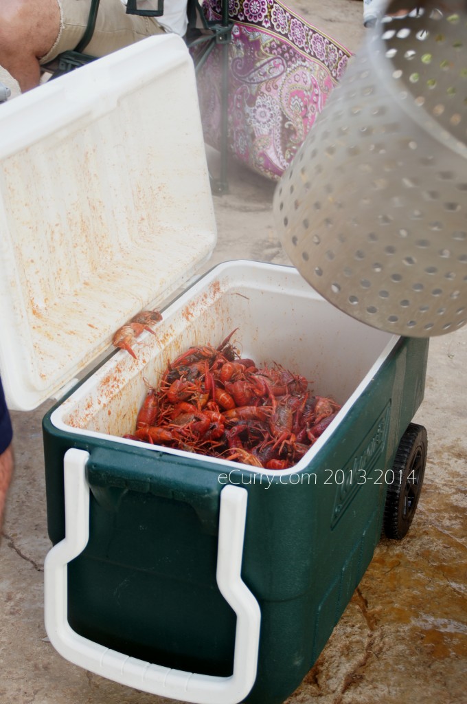 crawfish-boil-4.jpg