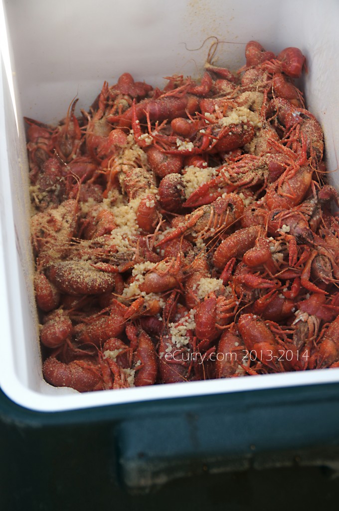  crawfish-boil-5.jpg