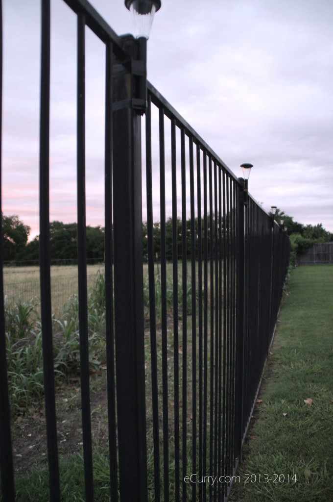 fence-1.jpg