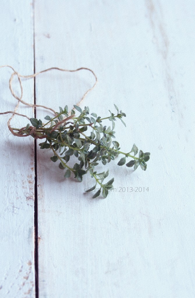 lemon-thyme-1.jpg