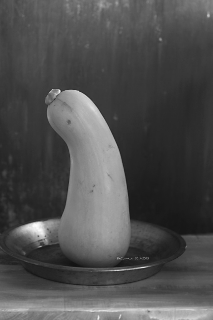 Butternut Squash BW 1