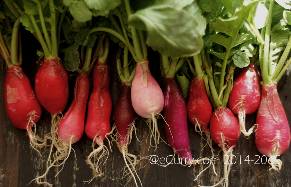 raw radish 6